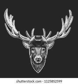 Deer Wild animal wearing hockey helmet. Print for t-shirt design.