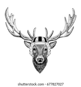 Deer Wild animal wearing rugby helmet Sport illustration