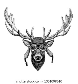 Deer wild biker animal wearing motorcycle helmet. Hand drawn image for tattoo, emblem, badge, logo, patch, t-shirt.