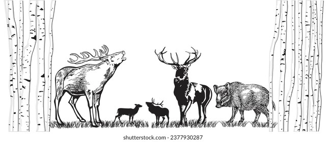 Deer and wild boar on the meadow illustration