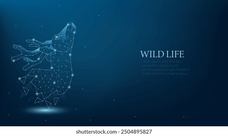 Deer in the wild life 