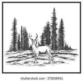 Deer with wild nature landscape hand drawn vector illustration