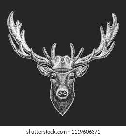 Deer. Wild west. Traditional american cowboy hat. Texas rodeo. Print for children, kids t-shirt. Image for emblem, badge, logo, patch.