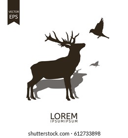 Deer Wildlife. Animals 