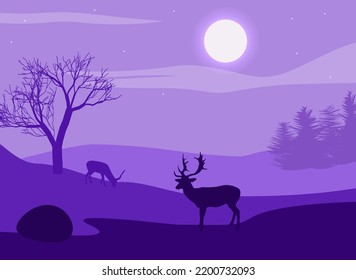 Deer in the winter on a night field