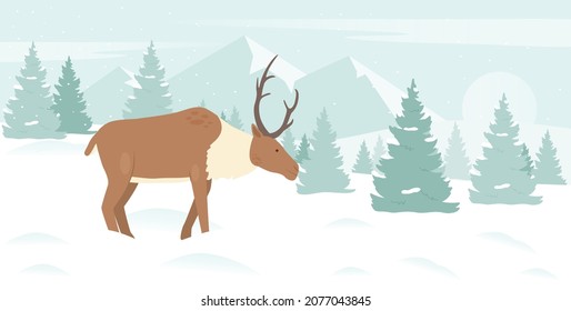 Deer in winter snow mountain landscape vector illustration. Cartoon snowy Christmas forest scene with cute reindeer walking among pine trees and snowdrifts. Frozen scenery for greeting card, poster