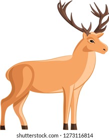 Deer Without Background Light Falls Behind Stock Vector (Royalty Free ...