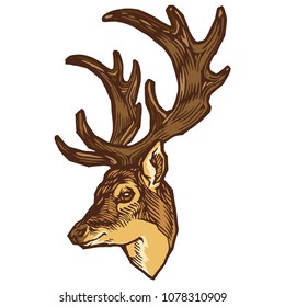 Deer witn antler portrait stock vector illustration design 