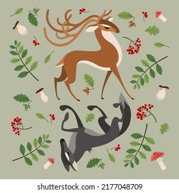 deer and wolf playing hide and seek