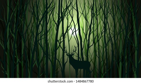 deer in the woods, vector illustration. trees silhouette and animal in the dark