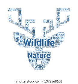 deer word cloud. tag cloud about deer