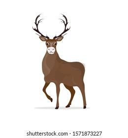 Deer for your design.
Beautiful Deer in white background. Vector illustration, objects of isolation.