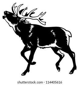 deer,red deer,stag,black and white vector image,side view picture isolated on white background