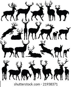 deers collection silhouettes - vector