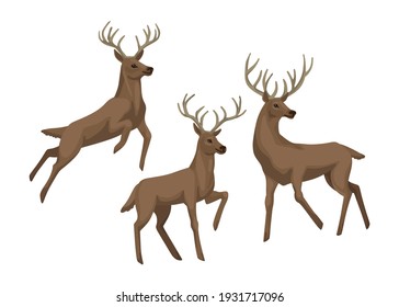 Deers in different poses. Deer jumping and standing. Vector character, childish illustration of zoology. Isolated object on a white background.