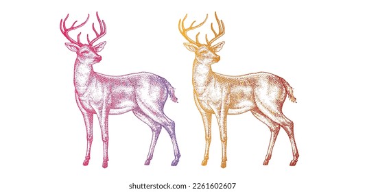Plantilla de símbolo vector con logotipo de punto de ciervo. Ilustración de degradado de punto de ciervo