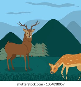 Deers at forest cartoos