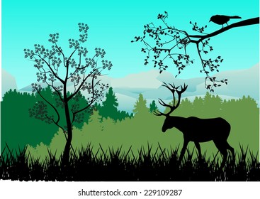 Deers in forest silhouette2