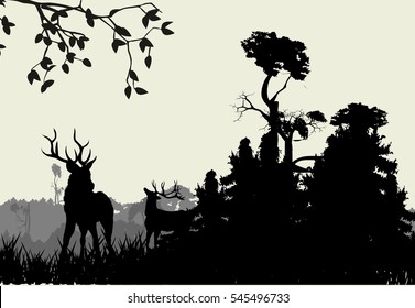 Deers and forest vector illustration