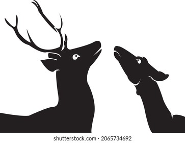 Deers illustration on white background