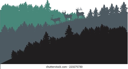 Deers land vector illustration