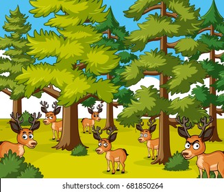 Deers living in the forest illustration