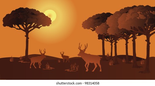 the deers on the forest.