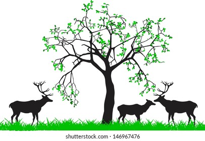 Deers silhouettes under the tree