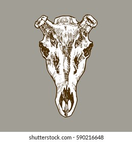 Deer's skull hand drawn stock vector illustration. Animal death's head tattoo sketch