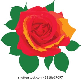 Default Flower red Rosa de color
