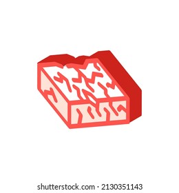defective brick isometric icon vector. defective brick sign. isolated symbol illustration