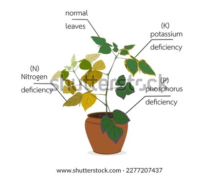 Deficiency of major plant nutrients.
