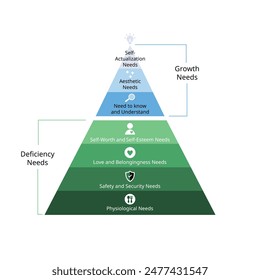 deficiency needs and growth needs to hierarchy needs include physiological needs, safety, love, self esteemed, aesthetic, self actualization