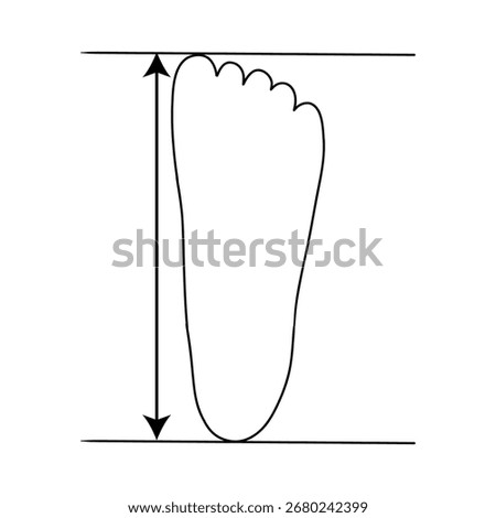 Defining correct shoe size. Foot size. Vector Line flat outline icon illustration isolated on white background.
