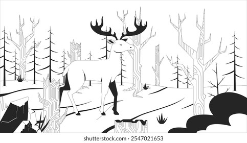 Deforestation black and white line illustration. Woodland disaster. Moose walking across forest with dead trees 2D character monochrome background. Climate crisis impact on nature outline vector image