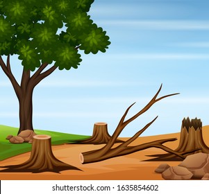 Deforestation scene with felled trees in nature