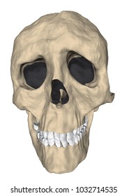 Deformed human skull in cartoon style. 3D. Vector illustration.
