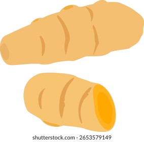 Ilustración deformada de cúrcuma cruda, raíz de cúrcuma