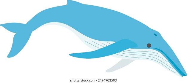 Deformed whale illustration 3.
A cute, deformed illustration of a humpback whale.