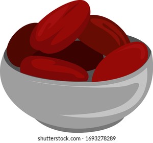 Deglet noor dates, illustration, vector on white background