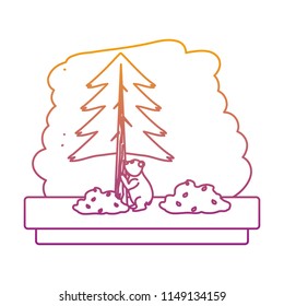 degraded line bear clombing pine tree in the forest