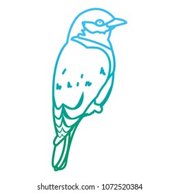 degraded line beauty bird animal with wings and feathers