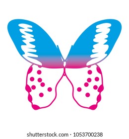 degraded line beauty butterfly insect with nice wings