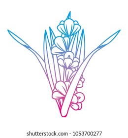 degraded line beauty plant with nature flowes patals