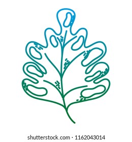degraded line botany beauty leaf exotic style