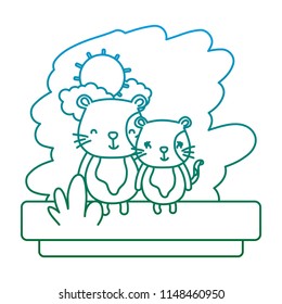 degraded line couple cat nice wild animal