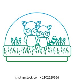 degraded line couple raccoon cute animal in the countryside