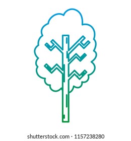 degraded line ecolology tree branch with stalk style