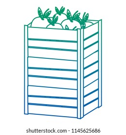 degraded line eggplants vegetables inside big wood box