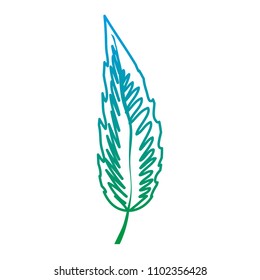 degraded line exotic botanic leaf natural plant